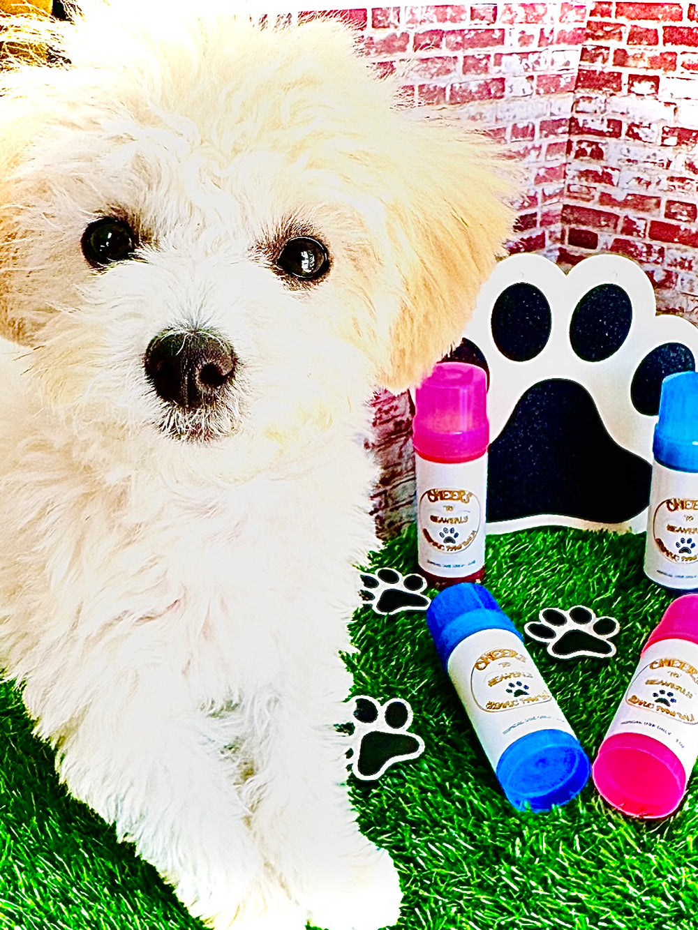 Pet Paw Balm